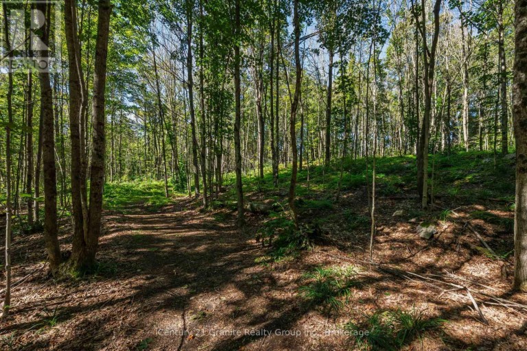 1961 IRONDALE ROAD, Highlands East (Glamorgan), Ontario, K0M1R0