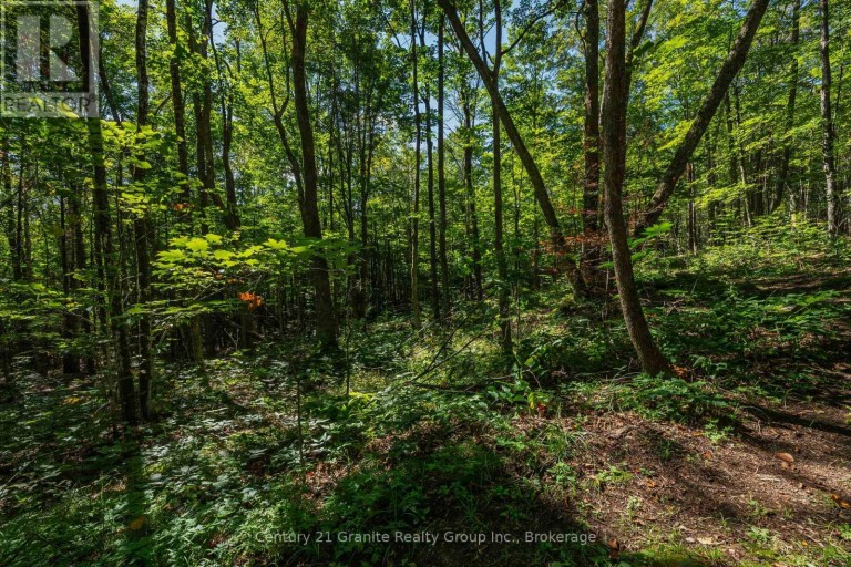 1961 IRONDALE ROAD, Highlands East (Glamorgan), Ontario, K0M1R0