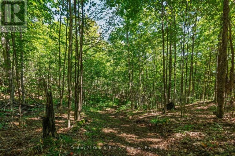1961 IRONDALE ROAD, Highlands East (Glamorgan), Ontario, K0M1R0