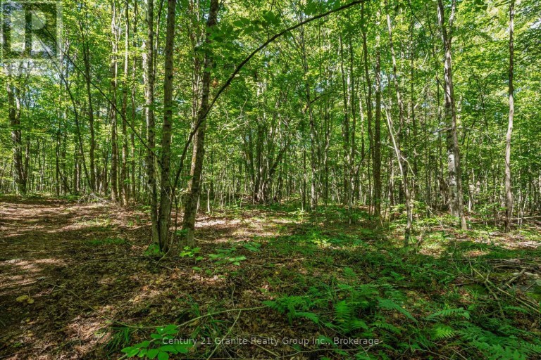 1961 IRONDALE ROAD, Highlands East (Glamorgan), Ontario, K0M1R0