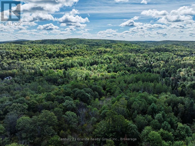 1961 IRONDALE ROAD, Highlands East (Glamorgan), Ontario, K0M1R0