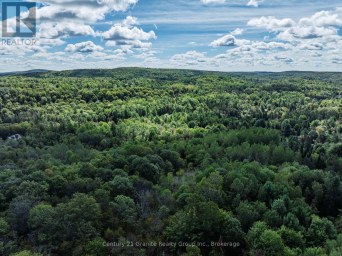 1961 IRONDALE ROAD Highlands East (Glamorgan) Ontario photo 32