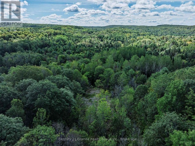 1961 IRONDALE ROAD, Highlands East (Glamorgan), Ontario, K0M1R0