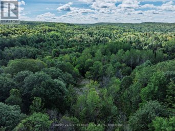 1961 IRONDALE ROAD Highlands East (Glamorgan) Ontario photo 33