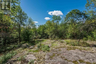 1961 IRONDALE ROAD Highlands East (Glamorgan) Ontario photo 34