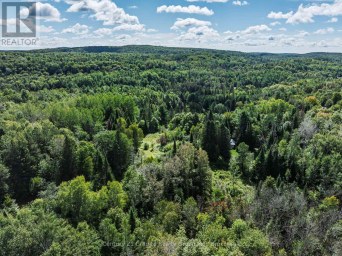 1961 IRONDALE ROAD Highlands East (Glamorgan) Ontario photo 4