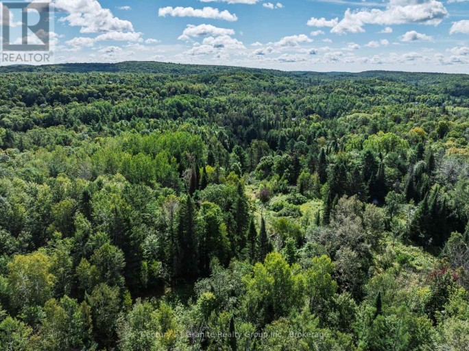 1961 IRONDALE ROAD, Highlands East (Glamorgan), Ontario, K0M1R0