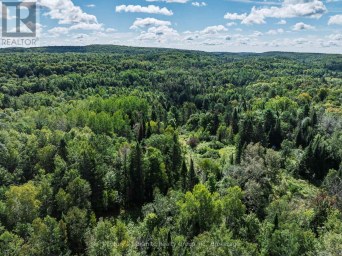 1961 IRONDALE ROAD Highlands East (Glamorgan) Ontario photo 5