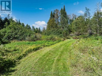 1961 IRONDALE ROAD Highlands East (Glamorgan) Ontario photo 9