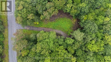 1247 HAWK VALLEY ROAD Algonquin Highlands (Stanhope) Ontario photo 10