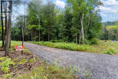 1247 HAWK VALLEY ROAD Algonquin Highlands (Stanhope) Ontario photo 12