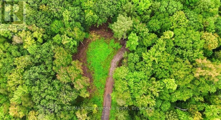 1247 HAWK VALLEY ROAD, Algonquin Highlands (Stanhope), Ontario, K0M1J2