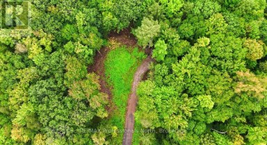 1247 HAWK VALLEY ROAD Algonquin Highlands (Stanhope) Ontario photo 2