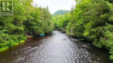 1247 HAWK VALLEY ROAD Algonquin Highlands (Stanhope) Ontario photo 4