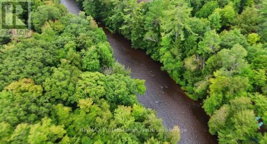 1247 HAWK VALLEY ROAD Algonquin Highlands (Stanhope) Ontario photo 5