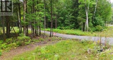1247 HAWK VALLEY ROAD Algonquin Highlands (Stanhope) Ontario photo 6