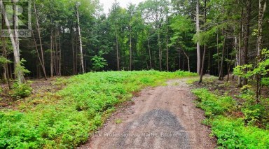 1247 HAWK VALLEY ROAD Algonquin Highlands (Stanhope) Ontario photo 7