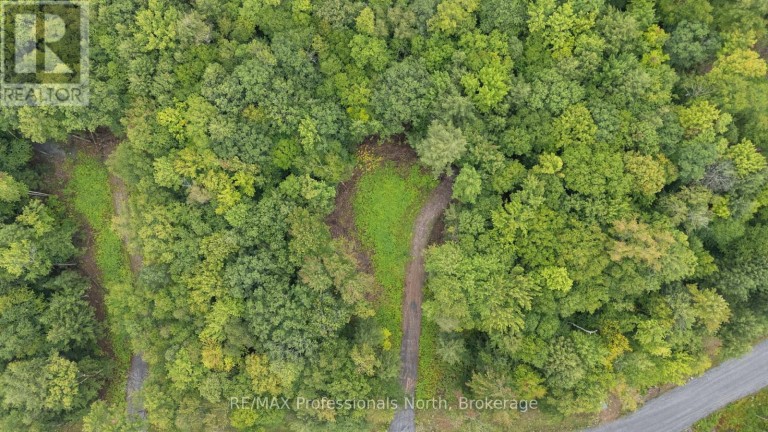 1247 HAWK VALLEY ROAD, Algonquin Highlands (Stanhope), Ontario, K0M1J2