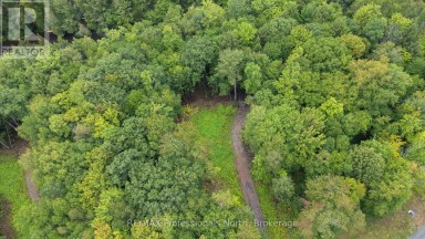 1247 HAWK VALLEY ROAD Algonquin Highlands (Stanhope) Ontario photo 9