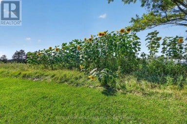 867 MILLHAVEN ROAD, Loyalist (Lennox And Addington - South) Ontario