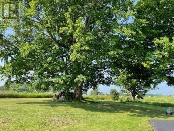202306 6 HIGHWAY Georgian Bluffs Ontario photo 41