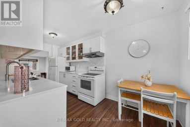 10 JEFFREY STREET Brampton (Northgate) Ontario photo 15