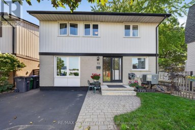 10 JEFFREY STREET Brampton (Northgate) Ontario photo 4