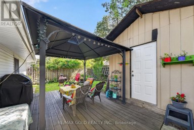 10 JEFFREY STREET Brampton (Northgate) Ontario photo 41