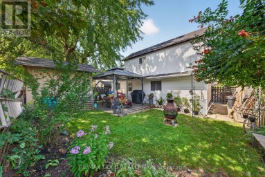 10 JEFFREY STREET Brampton (Northgate) Ontario photo 44