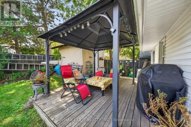 10 JEFFREY STREET Brampton (Northgate) Ontario photo 45