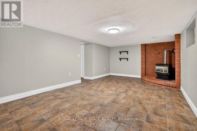 102 BIRCHLAWN DRIVE Hamilton (Stoney Creek) Ontario photo 34