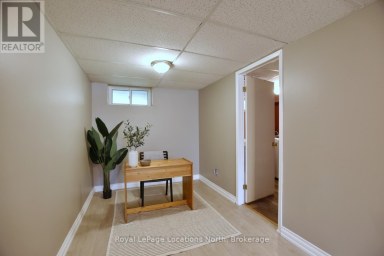 514 TENTH STREET Collingwood Ontario photo 48