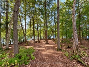 1304 GRANDPA'S TRAIL Highlands East (Glamorgan) Ontario photo 11