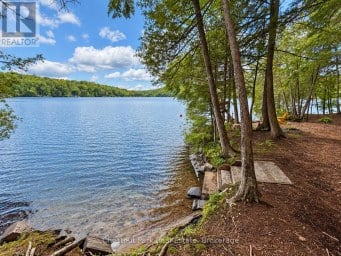 1304 GRANDPA'S TRAIL Highlands East (Glamorgan) Ontario photo 13
