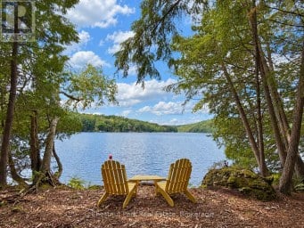1304 GRANDPA'S TRAIL Highlands East (Glamorgan) Ontario photo 14