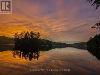 1304 GRANDPA'S TRAIL Highlands East (Glamorgan) Ontario photo 49