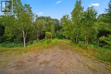 625 HIGHWAY 518 W Perry Ontario photo 10