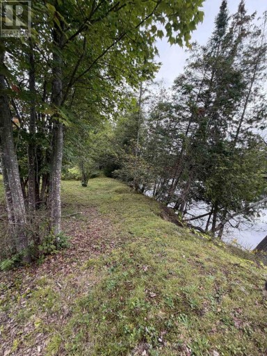 000 EVERGREEN LANE, Brudenell, Lyndoch and Raglan, Ontario, K0J2E0
