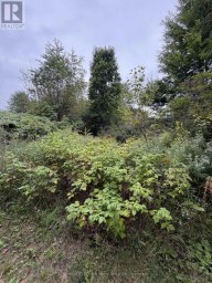 000 EVERGREEN LANE Brudenell, Lyndoch and Raglan Ontario photo 17