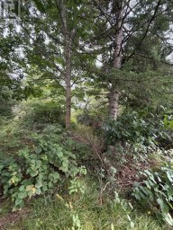 000 EVERGREEN LANE Brudenell, Lyndoch and Raglan Ontario photo 18
