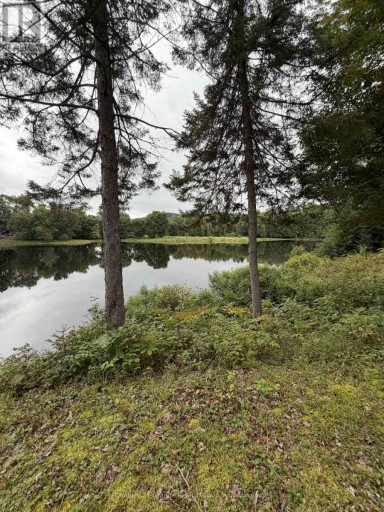 000 EVERGREEN LANE, Brudenell, Lyndoch and Raglan, Ontario, K0J2E0
