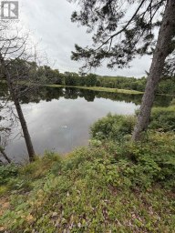 000 EVERGREEN LANE Brudenell, Lyndoch and Raglan Ontario photo 7
