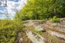 1020 RIDGE ROAD, Muskoka Lakes (wood (muskoka Lakes)), Ontario, P0C1M0 (ID X13761338)