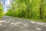 1020 RIDGE ROAD, Muskoka Lakes (wood (muskoka Lakes)), Ontario, P0C1M0 (ID X13761338)