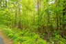 1020 RIDGE ROAD, Muskoka Lakes (wood (muskoka Lakes)), Ontario, P0C1M0 (ID X13761338)