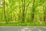 1020 RIDGE ROAD, Muskoka Lakes (wood (muskoka Lakes)), Ontario, P0C1M0 (ID X13761338)