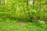 1020 RIDGE ROAD, Muskoka Lakes (wood (muskoka Lakes)), Ontario, P0C1M0 (ID X13761338)