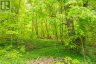 1020 RIDGE ROAD, Muskoka Lakes (wood (muskoka Lakes)), Ontario, P0C1M0 (ID X13761338)