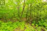 1020 RIDGE ROAD, Muskoka Lakes (wood (muskoka Lakes)), Ontario, P0C1M0 (ID X13761338)