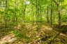 1020 RIDGE ROAD, Muskoka Lakes (wood (muskoka Lakes)), Ontario, P0C1M0 (ID X13761338)